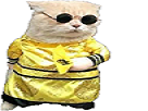 32091