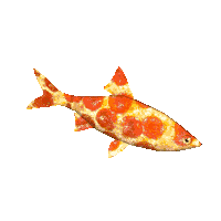 32236
