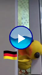 32289