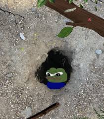 32336