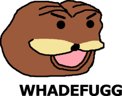 32372