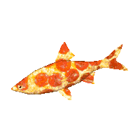 32384