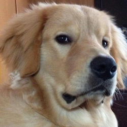 32524