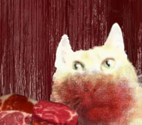 51