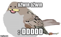 520