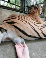 738
