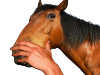 939