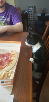 1364