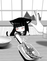 1554