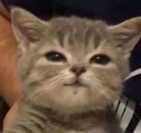 1619