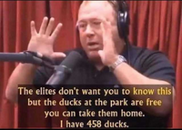 1632