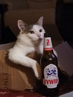 1673