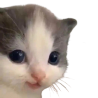 1689