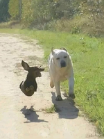 1693