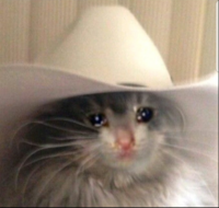 1734