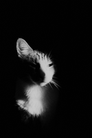 1757