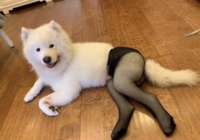 1775